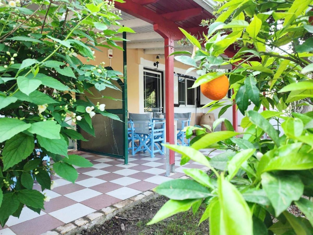 Koala Place Vasiliki  Exterior photo