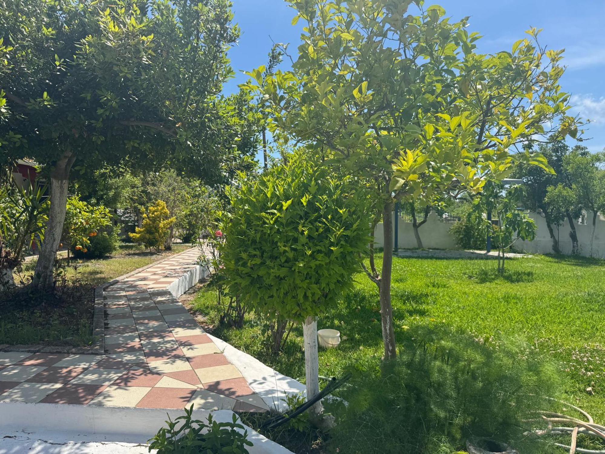 Koala Place Vasiliki  Exterior photo